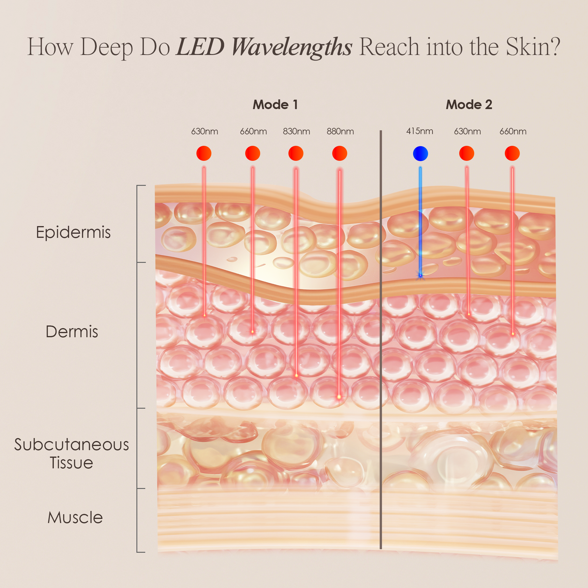 Alora | Age Renewal LED Light Therapy Panel - Project E Beauty